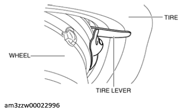 G13175609