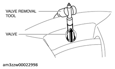 G13175611