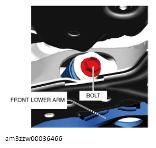 G13175645