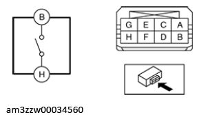 G13176895