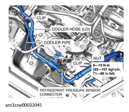 G13177391