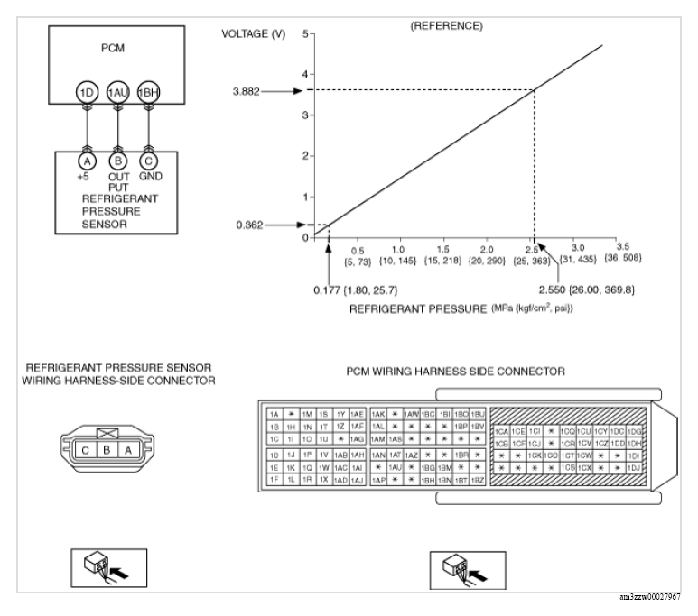 G13177496