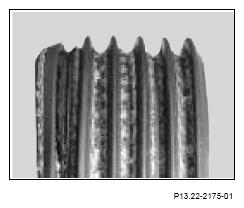 G13186657