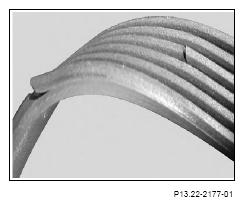 G13186659