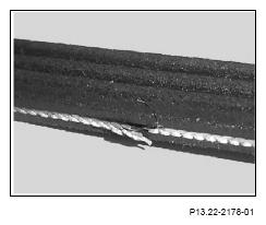 G13186660
