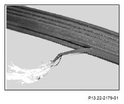 G13186661