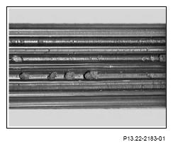 G13186665