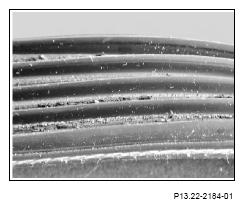 G13186666