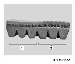 G13186667