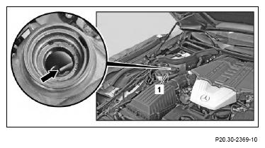G13186915