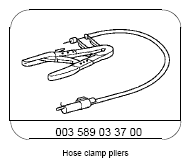 G13186959