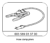 G13186972