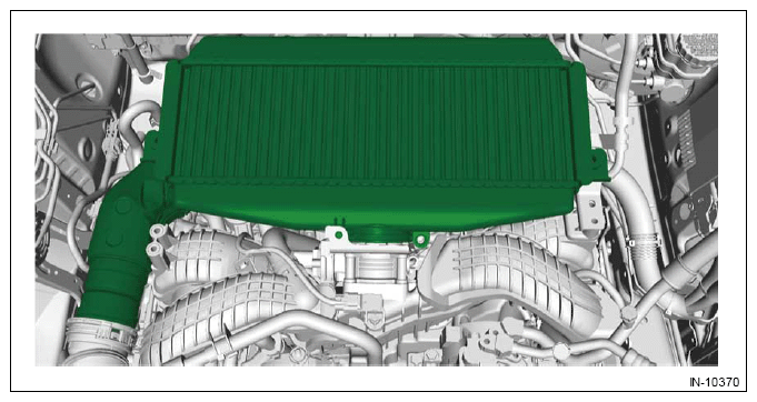 G13198597