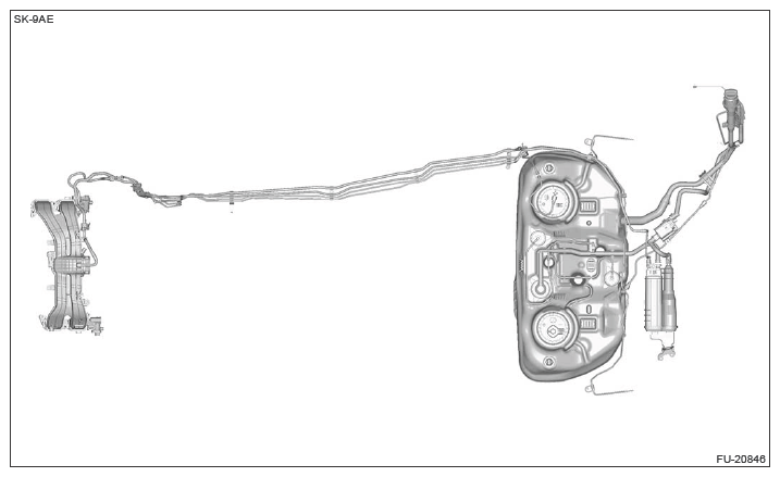 G13224092
