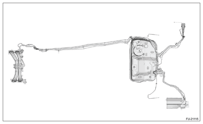 G13231056