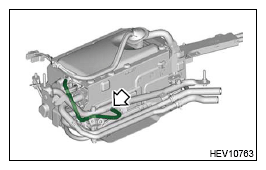 G13235686