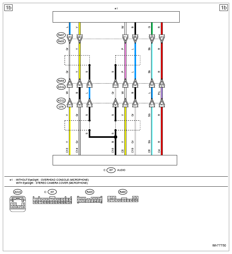 G13235851