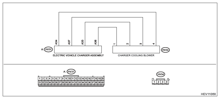G13238684
