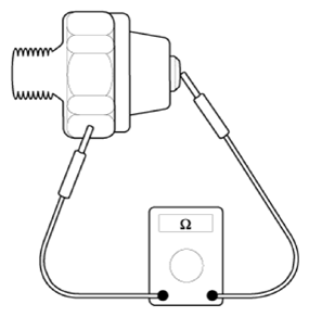 G13283562