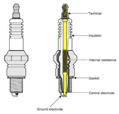 G13283647