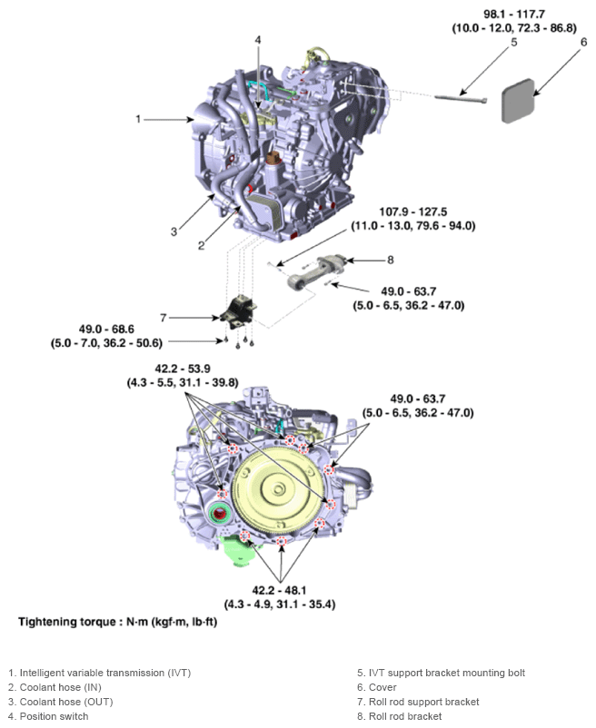 G13284081