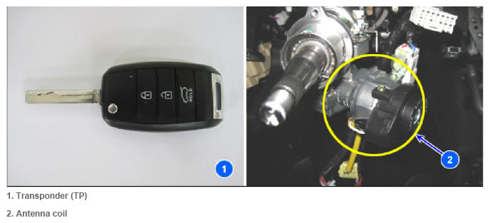 G13288462
