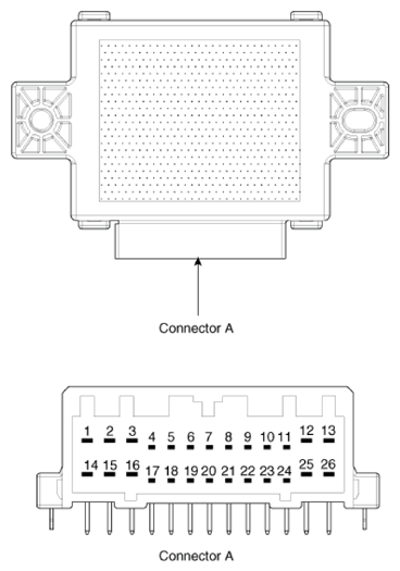G13306196