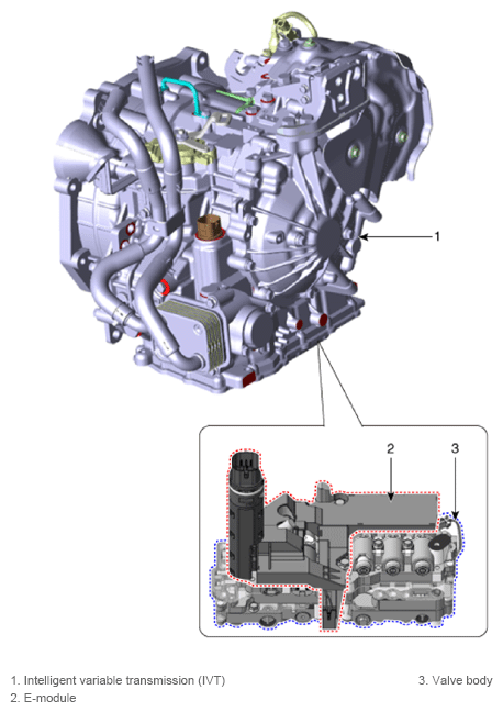 G13307447
