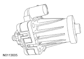 G13343504
