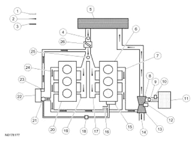 G13343572