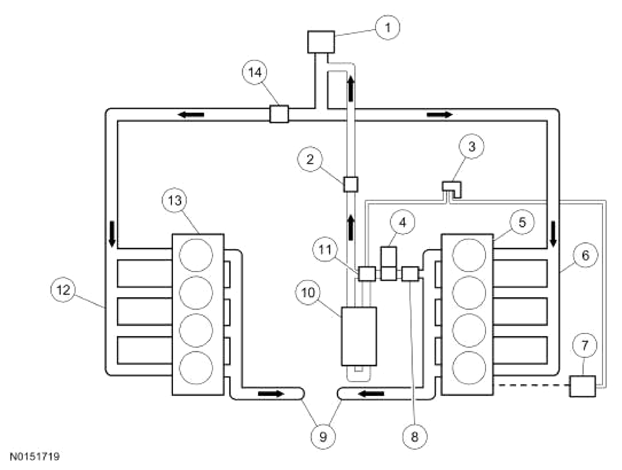 G13343574