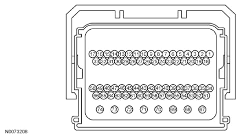 G13343593