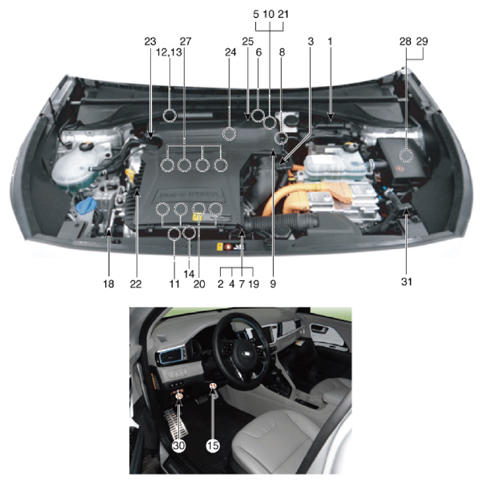 G13348708