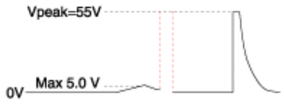 G13361669