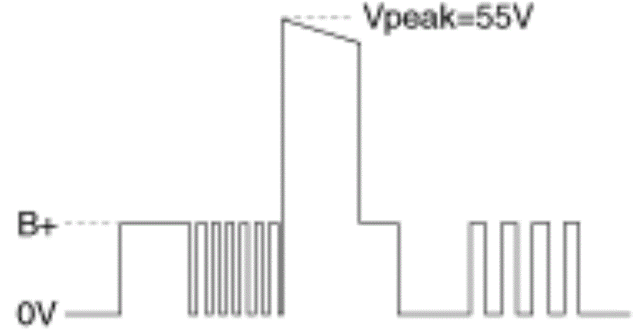 G13361670