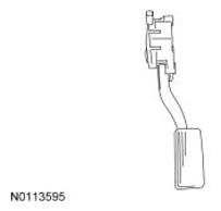 G13373188
