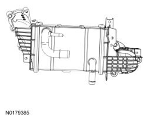 G13373193