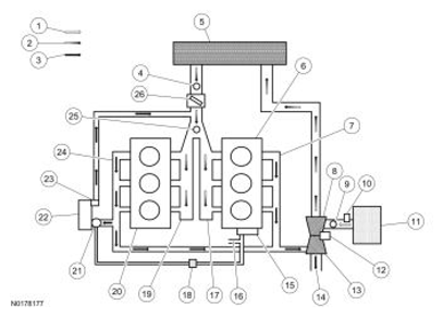 G13373294