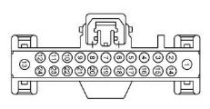 G13379242