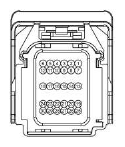 G13402536