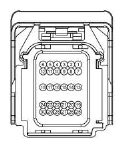 G13411045