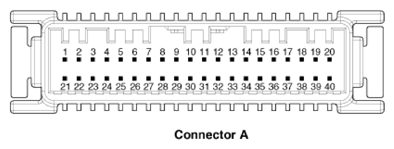 G13426449