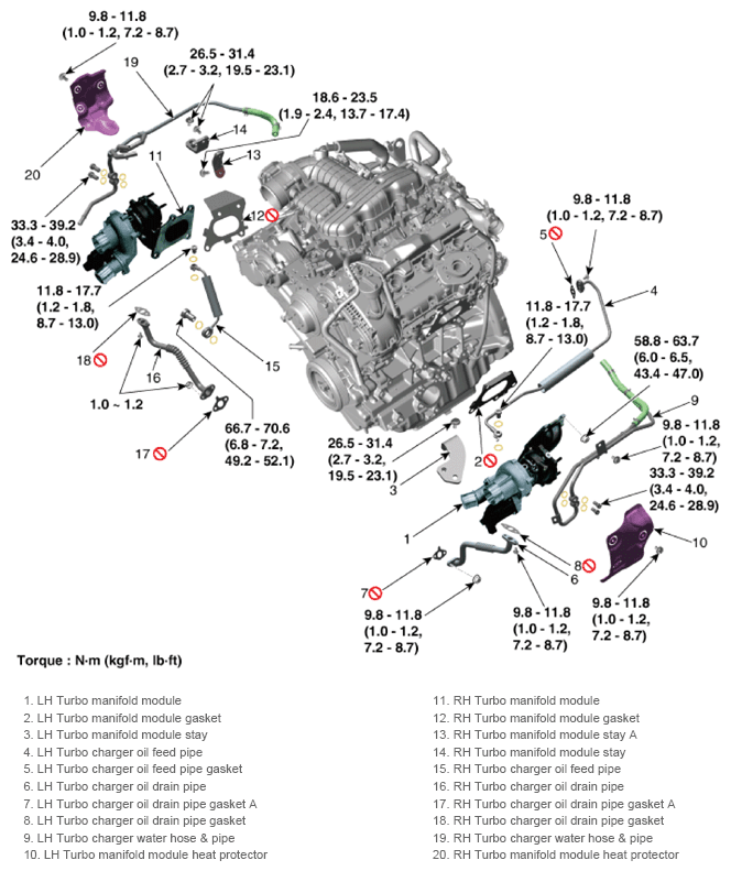 G13427676
