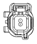 G13435318