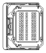G13435339