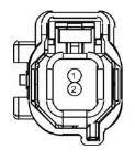 G13435346