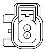 G13435348