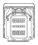 G13435354