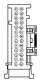 G13435384
