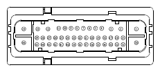G13435392